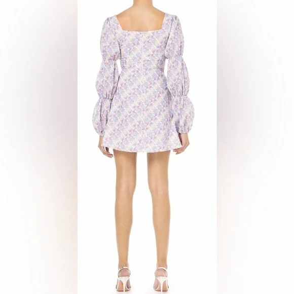 NWT OLIVIA RUBIN Eloise Mini Dress Size 4